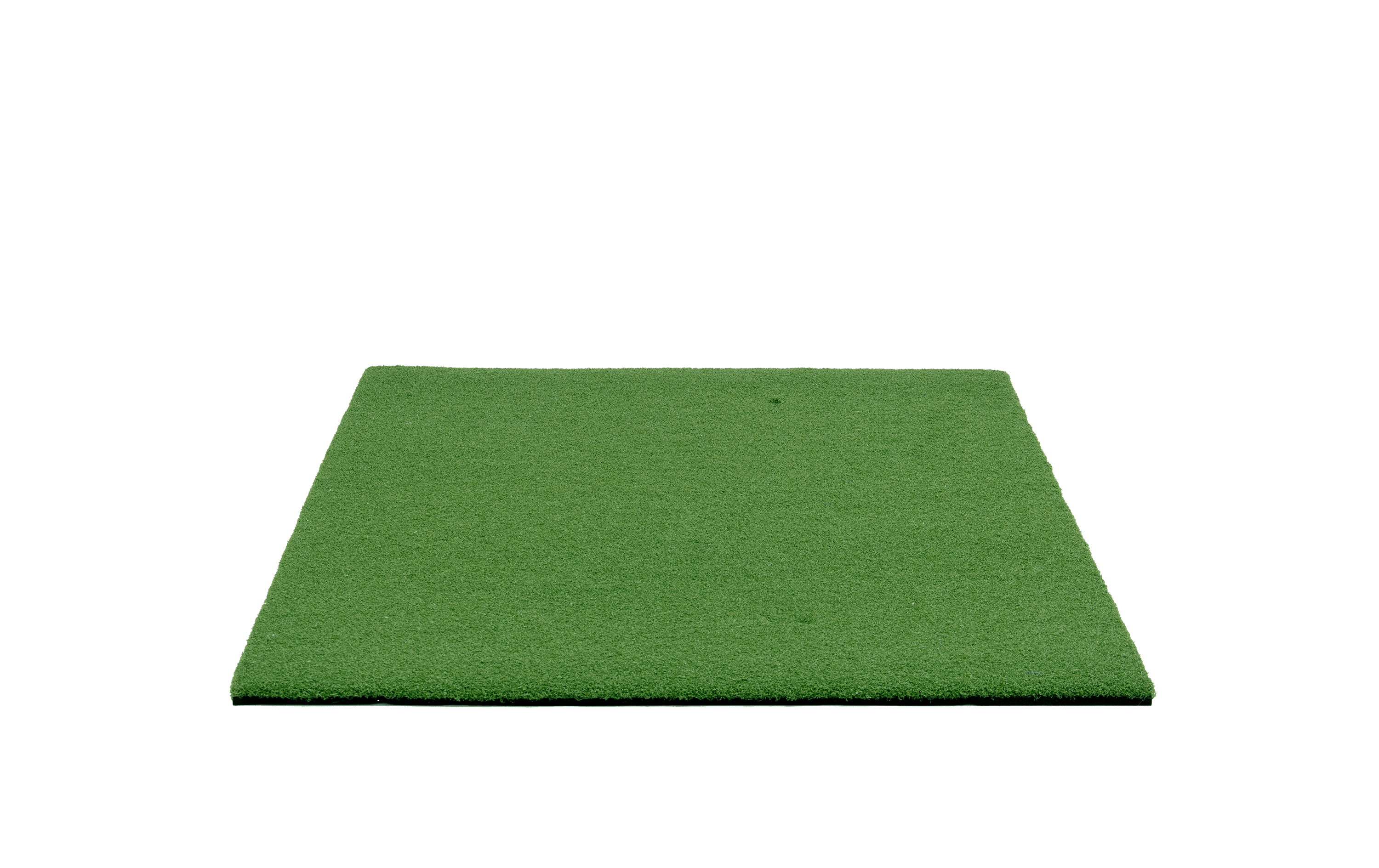Fairway One Master